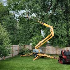 Best Soil Testing and Treatment  in Fruitland, MD