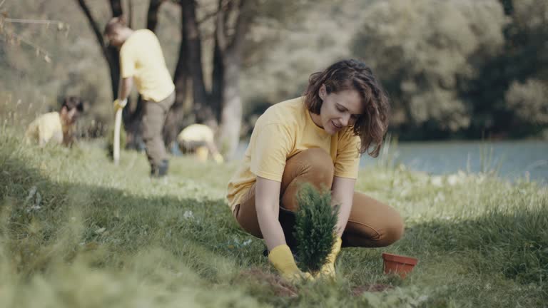 Best Organic Lawn Care Solutions  in Fruitland, MD
