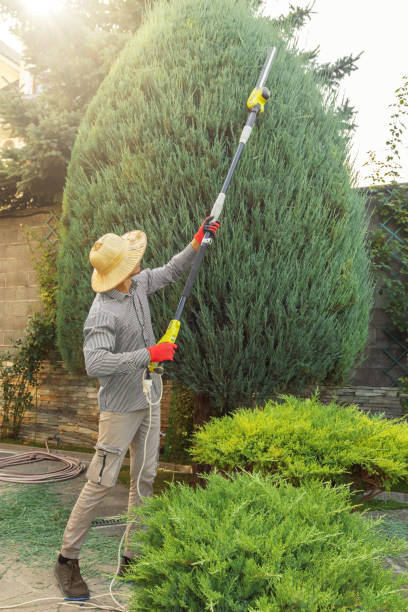 Best Artificial Turf Installation  in Fruitland, MD